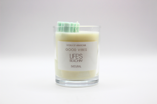 Life's Beachin' - 6oz Coconut Lime Scented Candle with Palm Tree Embed - World of Vibration®