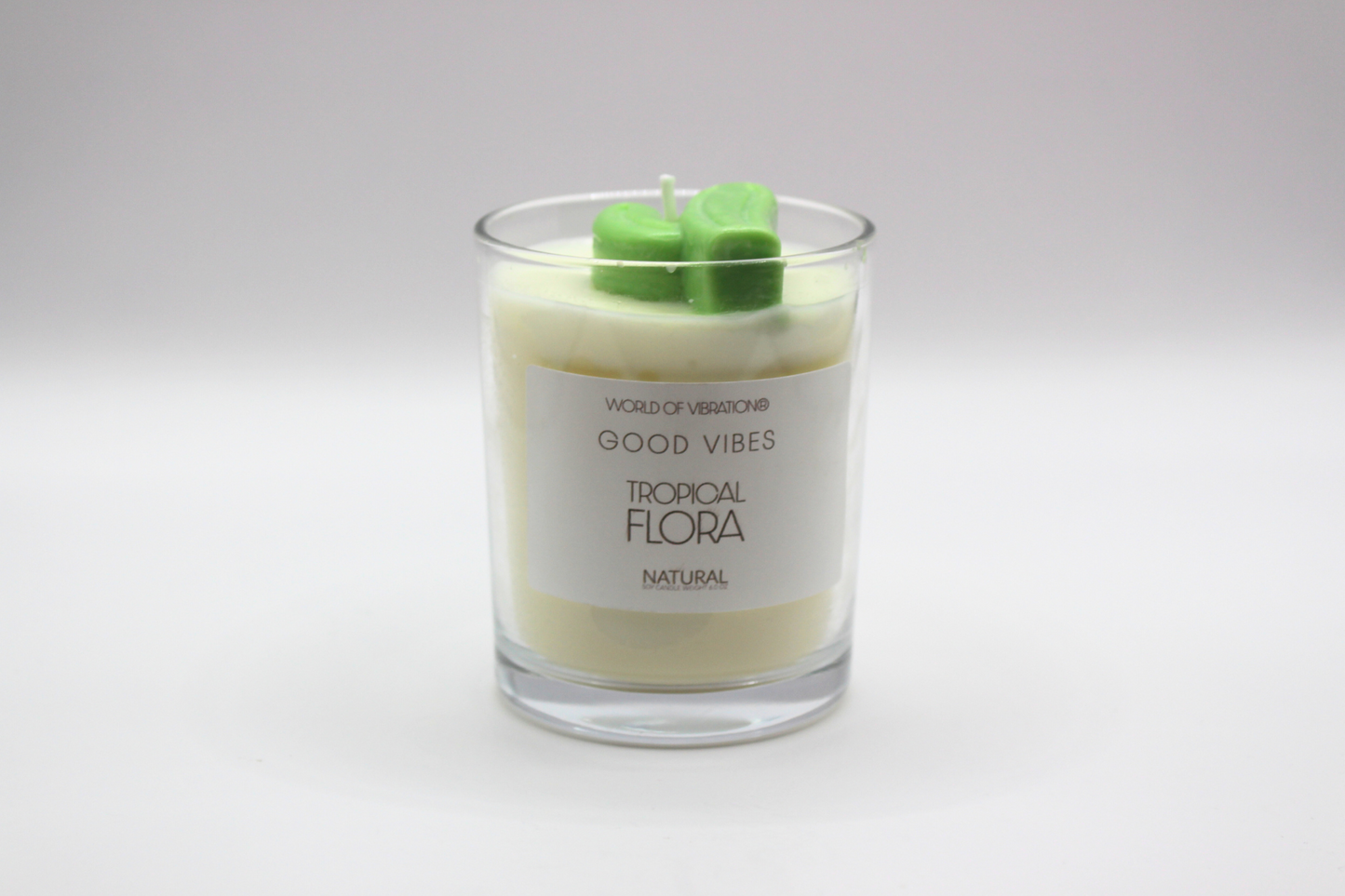 Tropical Flora - 6oz Cotton Candy & Grapefruit Scented Candle with Cactus Embed - World of Vibration®