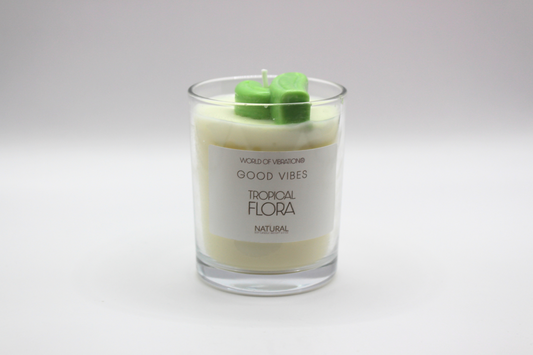 Tropical Flora - 6oz Cotton Candy & Grapefruit Scented Candle with Cactus Embed - World of Vibration®